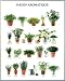 Produktbild Kräuter Poster Kunstdruck und Kunststoff-Rahmen - Jardin Aromatique, Küchen-Kräuter (50 x 40cm)