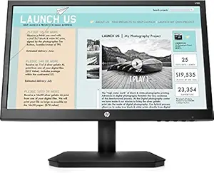 HP V190 18.5 Inch Diagonal Monitor