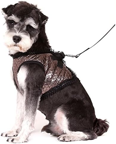 Ranphy Glitter Small Dog Harness No Pull Pet Vest Step-in Lace Harness with Leash Set Adjustable Girls for Walking Training Running Hiking Silver Size L