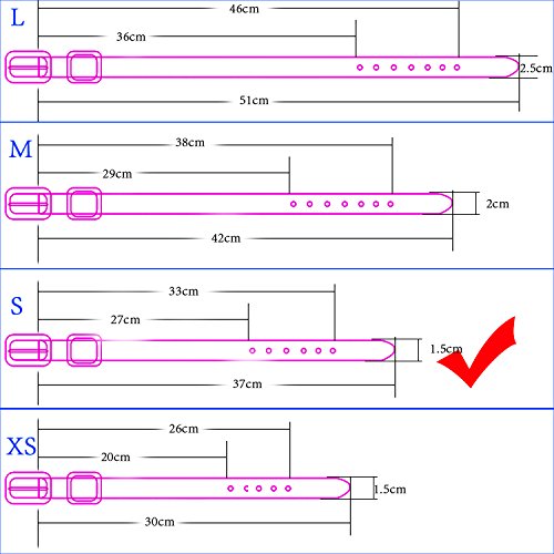 Strass Diamante Schädel Stil einstellbare PU Leder Haustier Hund Hund Katze Halsband Halskette Größe S - 5