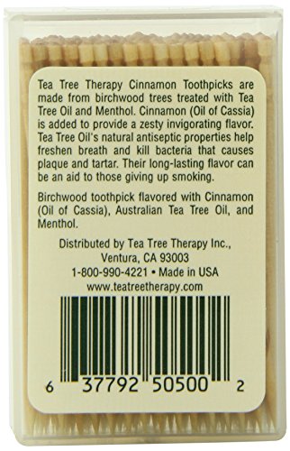 Tea Tree Therapy, Cinnamon Toothpicks, 100 Approx. - 2