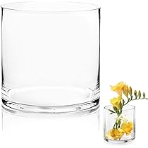 Royal Imports Bloemvaas acryl cilinder - decoratief middelpunt voor thuis of bruiloft - niet-breekbaar plastic, 15 x 20 cm hoog rond - transparant Royal Imports Bloemvaas acryl cilinder - decoratief middelpunt voor thuis of bruiloft - niet-breekbaar plastic, 15 x 20 cm hoog rond - transparant