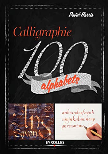 Télécharger Calligraphie 100 alphabets livre En ligne