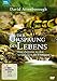 Produktbild David Attenborough: Der Ursprung des Lebens - Eine Zeitreise zu den Anfängen der Evolution
