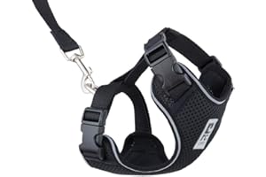 RC PET PRODUCTS RC Pets Adventure Kitty Harness Includes Adjustable, Airmesh Fabric, 6' Leash and D-Ring Cat Walking Harness | Black, Medium