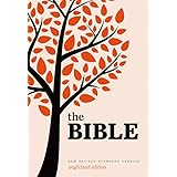 New Revised Standard Version Bible: Popular Text Edition