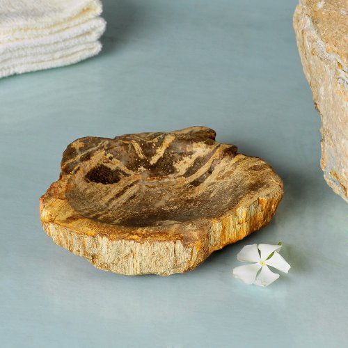 Wohnfreuden Seifenschale aus versteinertem Holz - 3