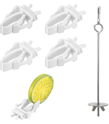 EIHI Spiedino Per Pappagalli In Acciaio Inox Con Distanziatori - 3 Pezzi, Mangiatoia Per Verdure E Snack, Ideale Per Uccelli Da Gabbia