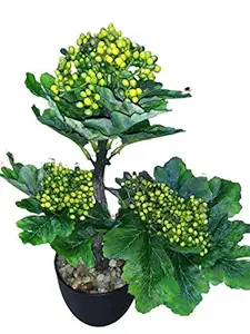 Bellveen Plastic Pot With Bonsai Live Plants, Green, 1 Artificial Flower With Pot