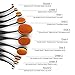 Make Up Brushes - ISASSY Professional 10 Pieces Oval Makeup Brushes Set Toothbrush Shape Cosmetic Kits with Protective Cap + Make up Sponge(Random color) and Brush Cleaner Egg