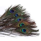 ERGEOB Pfauenfedern 25-30cm/ 10-12 Zoll Länge Naturfedern für Karneval Rosen Montag Halloween Fest Basteln Diko usw.