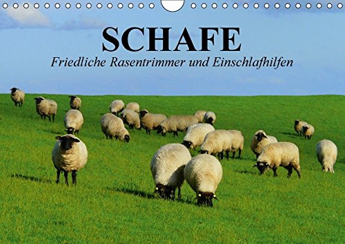 Preisvergleich Produktbild Schafe. Friedliche Rasentrimmer und Einschlafhilfen (Wandkalender 2017 DIN A4 quer): Nützliche Wollknäuel und Bereicherung der Landschaften (Geburtstagskalender, 14 Seiten ) (CALVENDO Tiere)