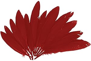 INNSPIRO Plumes indiennes rouges environ 25 x 140 m, 60 u