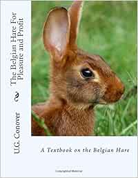 belgian hare price