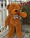 Click4Deal 4 feet long huge teddy bear brown (122 cm) RS.1349.00