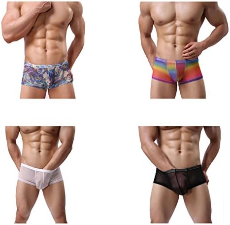Pack Of 4 Mesh Yarn Transparent Mens Boxer Shorts Printed Rainbow Briefs , as picture , m