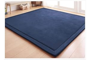 LOARTEE Coral Velvet Carpet Bedroom Living Room Children's Study Kitchen Nursery Carpet Children Crawling walking Games Yoga Exercise Nap Mat Household Rug Area Carpet