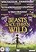 Beasts Of The Southern Wild [Edizione: Regno Unito] [Italia] [DVD]