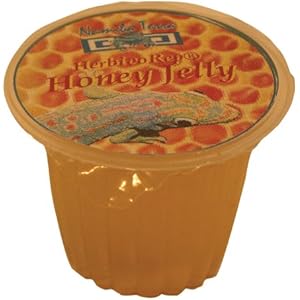 Namiba Terra 0286 CanivoRep Frucht-Honig Jelly für Reptilien 16 g, 6-er Pack