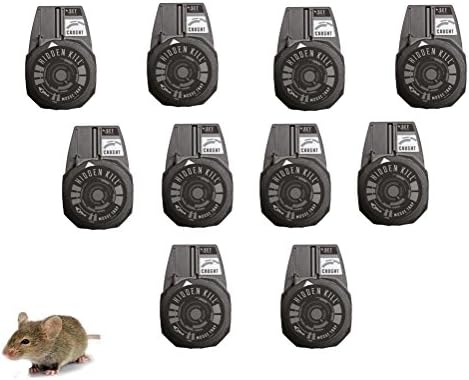 Mouse killer trap hidden discreet no touch - Green humane control (20)