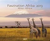 Faszination Afrika 2013. Photoart Kalender by 