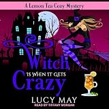 Cover zum Buch Witch Is When It Gets Crazy
