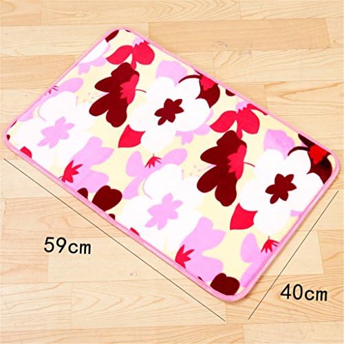 Qianmo-Care European Housing Park Bedroom Thickened Mattress Water-Absorbing Non-Slip Door Mats Cherry Blossom Pattern About 59 * 40Cm