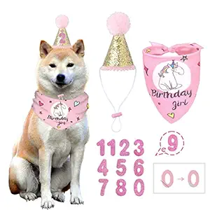 BANMODER Dog Birthday Bandana Square Scarf and Reusable Cute Doggie Birthday Party Hat with 0-8 Figures for Girls Boy (Pink)