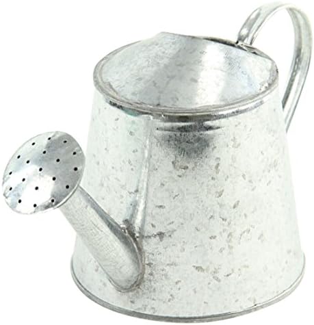 4"x4.25" Galvanized Tin Watering Can