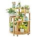 Produktbild TGDY 5-Tier Bambus Blumen-/Pflanzenständer Regalsystem Rack Pot Display Indoor Outdoor, 70 X 60 X 60 cm, Holzmaterial Boden Blumenständer (Ideal Gärtner Geschenk)