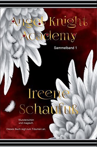 Preisvergleich Produktbild Angel Knight Academy 1 - (Magical Girl): Jugendbuch