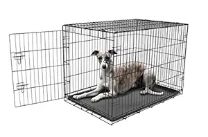 Carlson Pet Products Secure and Foldable Single Door Metal Dog Crate, Large