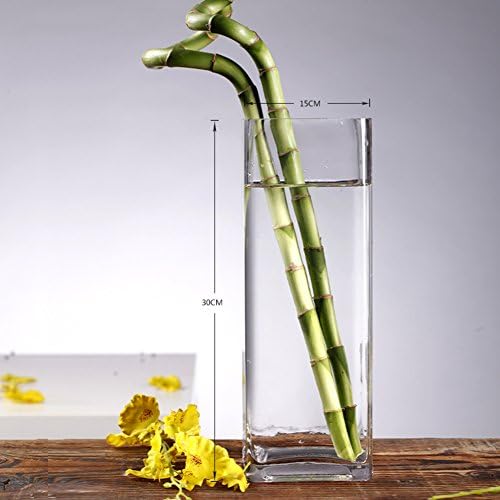 XINYOUER Large Glass Hydroponic Cylinder Vase Home decor vase and table centerpieces vase -H