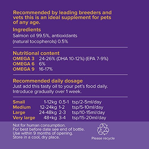The-Regal-Mutt-500-ml-Salmon-Fish-Oil-for-Dogs--Charity-Donation-to-Four-Paws-Animal-Rescue--100-Natural-Nutritional-Supplement--Pure-Premium-Scottish-Salmon-Oil--Promotes-Coat-Joint-Brain-Health--100