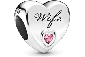 CWOne Designs S925 Sterling Silver Family Moments Love Heart Charm for Pandora Charm Bracelets.