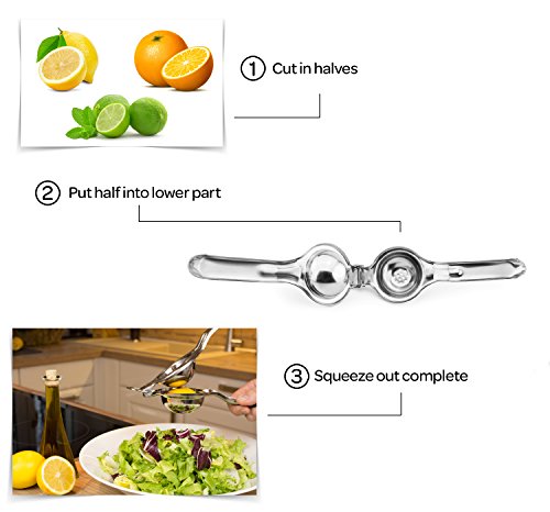 Sandford SQUEEZE Zitronenpresse Zitruspresse | Premium Edelstahl XXL | Manuelle Saftpresse | rostfrei & spülmaschinenfest | Stabile Profi-Presse für Limetten, Zitronen und kleine Saftorangen bis 7cm - 3