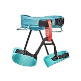  Black Diamond Momentum - Arnés de escalada Niños - Turquesa 2018