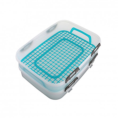 COM-FOUR® Partycontainer Transport-Box, Kuchenbehälter und Lebensmittelbox mit 2 Etagen und Hebeeinsatz, in türkis - 2