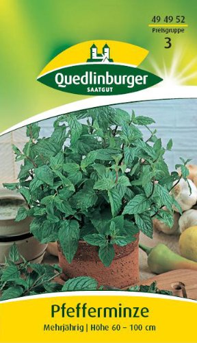 Pfefferminze