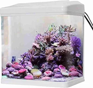 BLUEHEAVENS Molded Glass Small Aquarium Fish Tank | SOBO T240F | Capacity 9 L | Size: 24x16x28cm | Colour: White