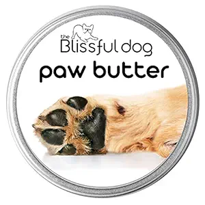 The Blissful Dog Paw Butter for Your Dog's Rough and Dry Paws, 2-Ounce