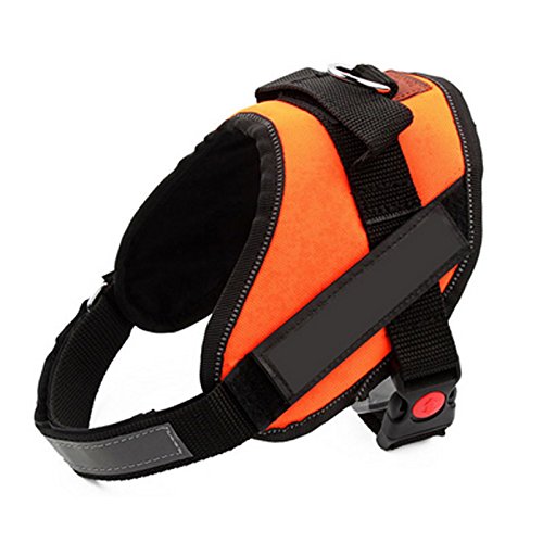 Preisvergleich Produktbild VictoryCN Kühle Qualitätshaustiergeschirr Haustier Hosenträgergurt(orange M)