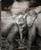 Image de Elephants in Heaven