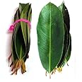 Li6 ®™ Jamun Leaves ( 100 Grams ) Jamun Ke Ped Ki Patti, Patte, Patta - Jamun Of Leaf
