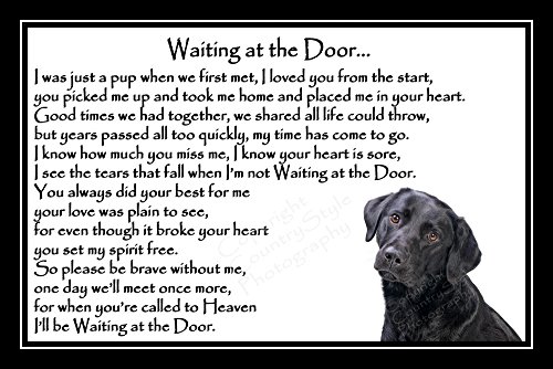 Black-Labrador-Pet-Dog-Bereavement-Memorial-Print-unframed-Waiting-at-the-Door