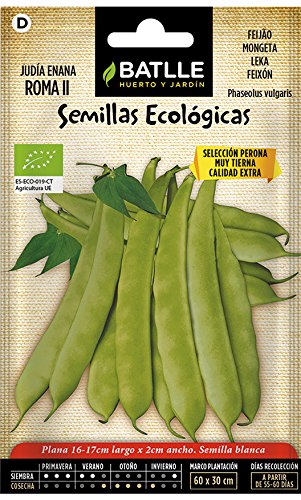 Semillas Ecológicas Leguminosas - Judía Enana Roma II- ECO - Batlle