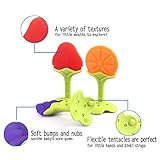 Baby-Beißring,Tinabless Baby-Zahnen Obstbaum Silikon-Zehne für Kleinkind Jungen Mädchen BPA-freie Zahnen Set mit 4 Stück - 5