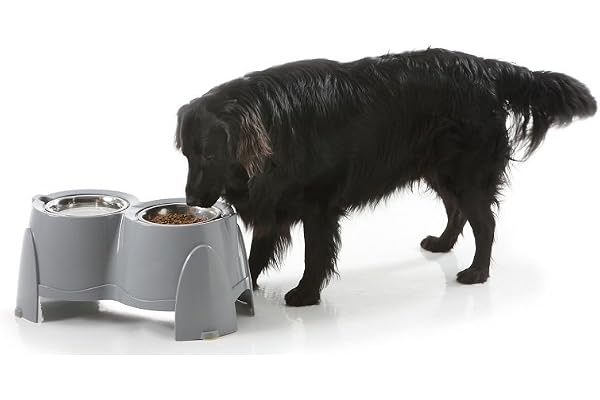 Savic Ergo Double Mangeoire pour Chien 28 cm