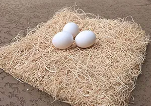 My Favorite Chicken Nesting Pads | Natural Excelsior Aspen Fiber Poultry Bedding Nest Liner | 13 x 13 Inches | Pack of 10