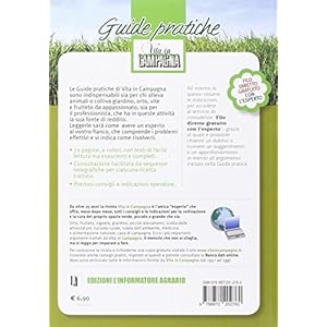 Consigli pratici e ricette per conservare la frutta